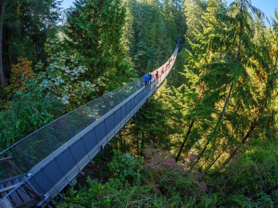 Capilano Suspension Bridge. Capilano Suspension Bridge Park. Vancouver. British Columbia. Canada]