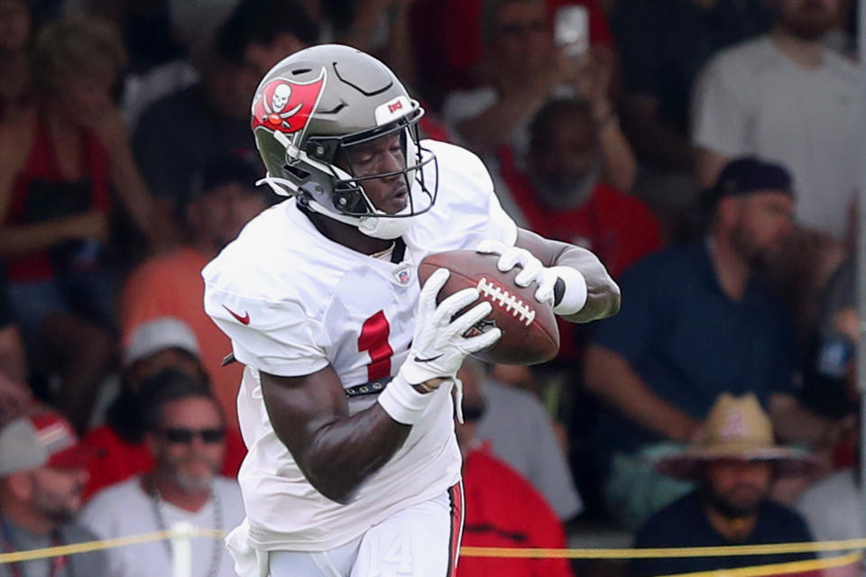 Tampa Bay Buccaneers wide receiver Chris Godwin (14) is a fantasy star