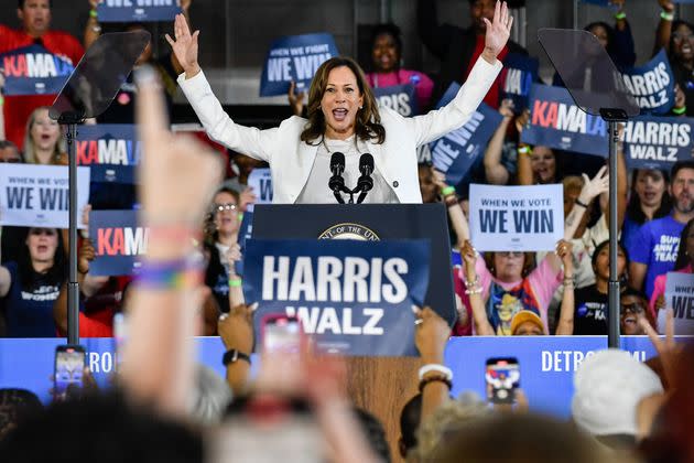 Democratic presidential candidate Kamala Harris speaks to thousands of people during a campaign rally at Detroit Metropolitan Airport in Romulus, Michigan, on August 7, 2024.