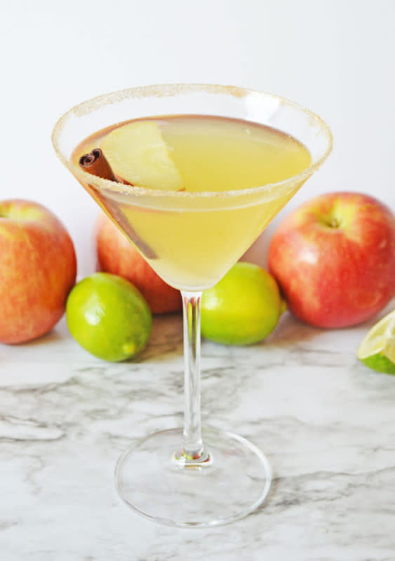 <p>Hot Eats and Cool Reads</p><p>This cocktail is a drink to serve at Thanksgiving, your next football party, and any other fall celebration you have scheduled. </p><p><strong>Get the recipe: <a href="https://www.hoteatsandcoolreads.com/2015/09/cupcake-diaries-5th-blogiversary.html" rel="nofollow noopener" target="_blank" data-ylk="slk:Autumn Apple Cider Martini;elm:context_link;itc:0;sec:content-canvas" class="link ">Autumn Apple Cider Martini</a></strong></p>