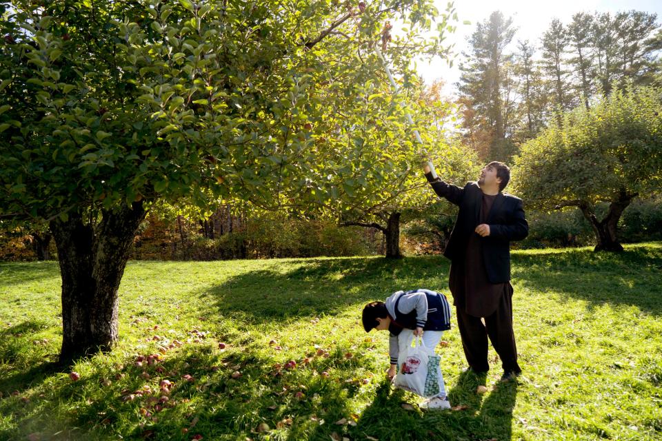 A man picks an apple as a child hunches over beside him.