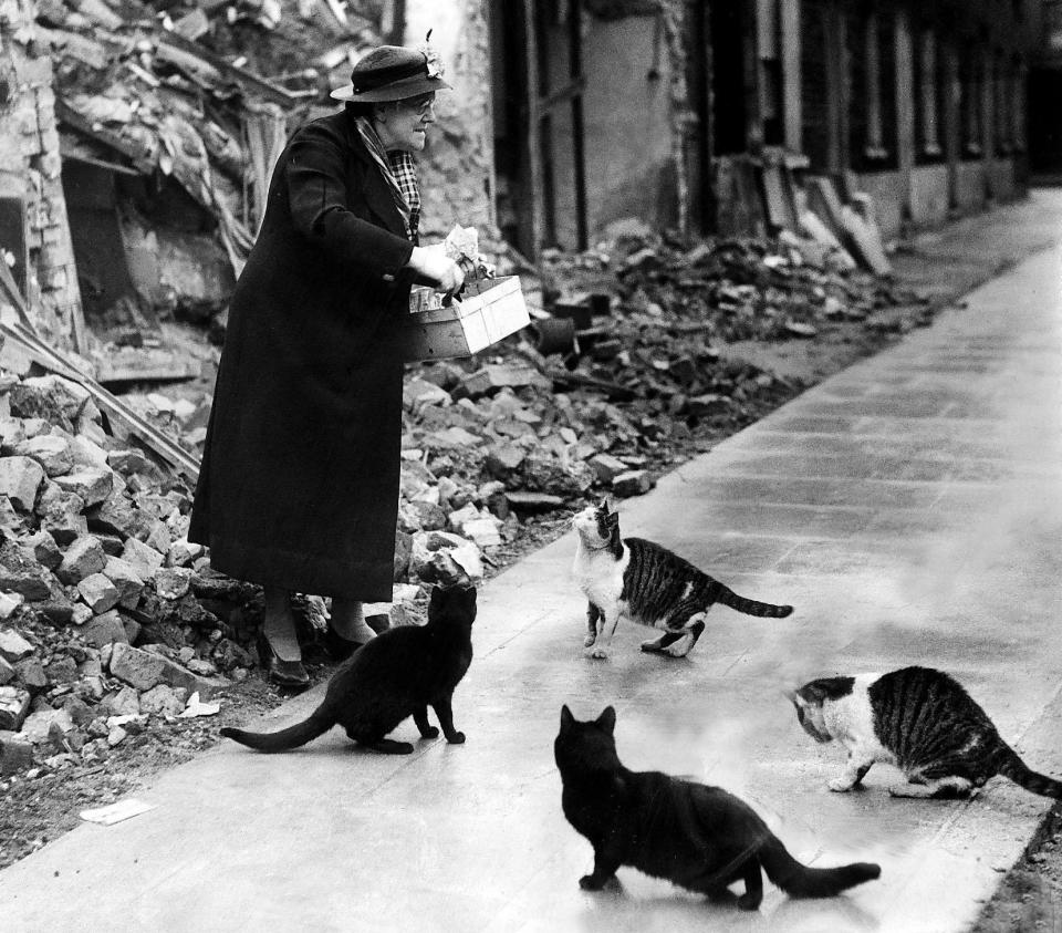 Pet lover Caroline Roberts feeding homeless cats in Poplar, east London, in 1940
