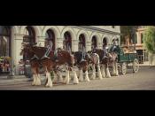 <p>Sam Adams' commercial this year shows someone releasing Clydesdales from their harnesses, which is a not-so-subtle nod to Budweiser. The latter beer company will not have a commercial this year so this will likely be the only time we see them during the broadcast.</p><p><a href="https://youtu.be/hLJ7qcB1YaY" rel="nofollow noopener" target="_blank" data-ylk="slk:See the original post on Youtube;elm:context_link;itc:0;sec:content-canvas" class="link ">See the original post on Youtube</a></p>