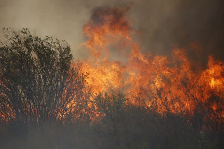 Incendios en Playas de Oro, Punilla, en la provincia de Córdoba