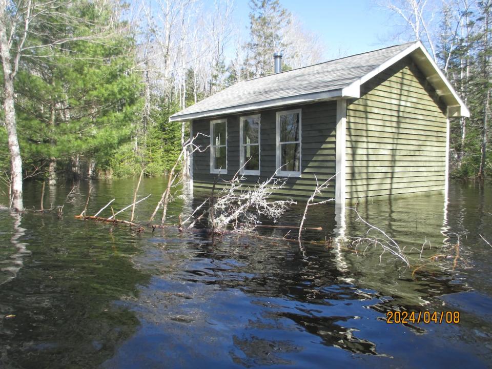 Flood waters reached the highest point they ever have earlier this month at Doug and Carolyn Allen's camp in North Kemptville, Yarmouth County. The flooding is due to a broken culvert down water from their lake.