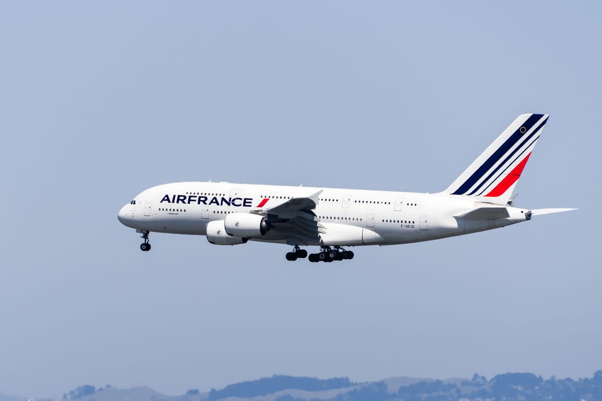 France announced in April 2022 that it would ban some short haul flights  (Getty Images)