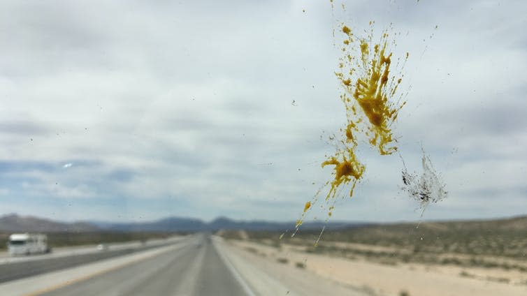 <span class="caption">When was the last time you saw a bug splat on a car windscreen?</span> <span class="attribution"><a class="link " href="https://www.shutterstock.com/image-photo/focus-on-splattered-yellow-bug-guts-1394031878" rel="nofollow noopener" target="_blank" data-ylk="slk:Vesperstock/Shutterstock;elm:context_link;itc:0;sec:content-canvas">Vesperstock/Shutterstock</a></span>