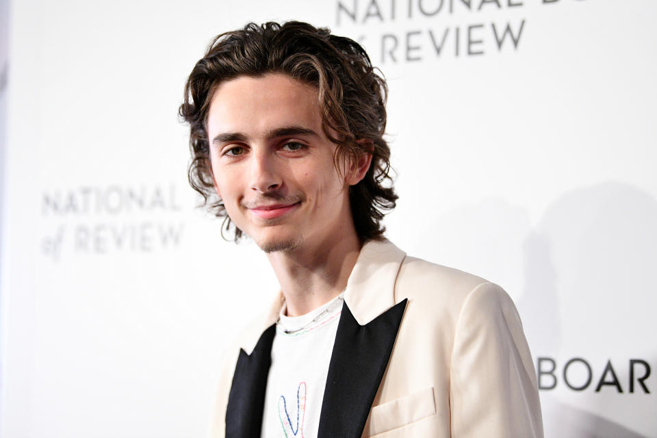 NEW YORK, NEW YORK - JANUARY 08: Timothée Chalamet attends the 2020 National Board Of Review Gala on January 08, 2020 in New York City. (Photo by Dia Dipasupil/Getty Images)