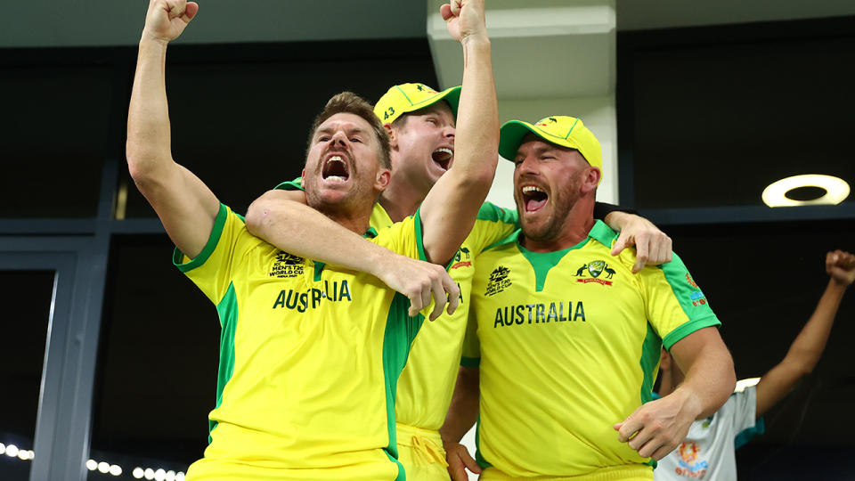 David Warner, Steve Smith and Aaron Finch, pictured here celebrating Australia's win in the T20 World Cup final.