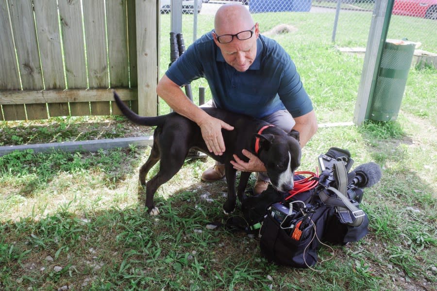 Photojournalist Gregg Stone gave adoptable dog Zara some well deserved pets (photo: Cristina Byrne, WHNT)