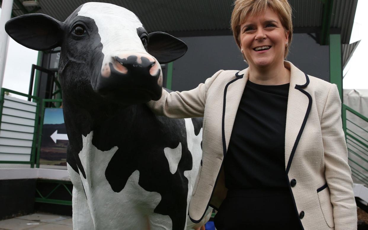 First Minister Nicola Sturgeon visits on the second day of the 177th Royal Highland Show in Edinburgh - PA