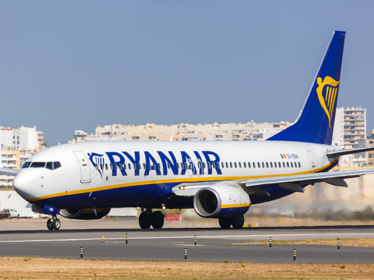 One in eight Ryanair flights were grounded on Tuesday, according to the airline’s chief executive  (Getty Images)
