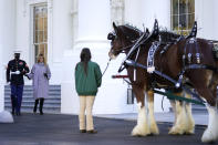 First lady Melania Trump walks to see the 2020 Official White House Christmas tree as it is presented on the North Portico of the White House, Monday, Nov. 23, 2020, in Washington. (AP Photo/Andrew Harnik)