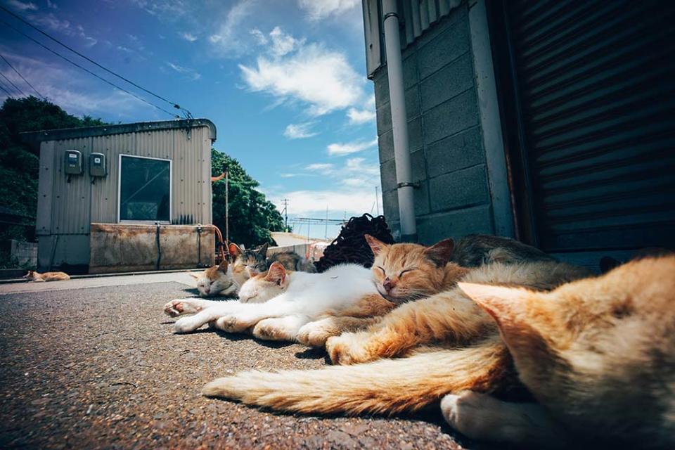 男木島（Image Source : Getty Creative）