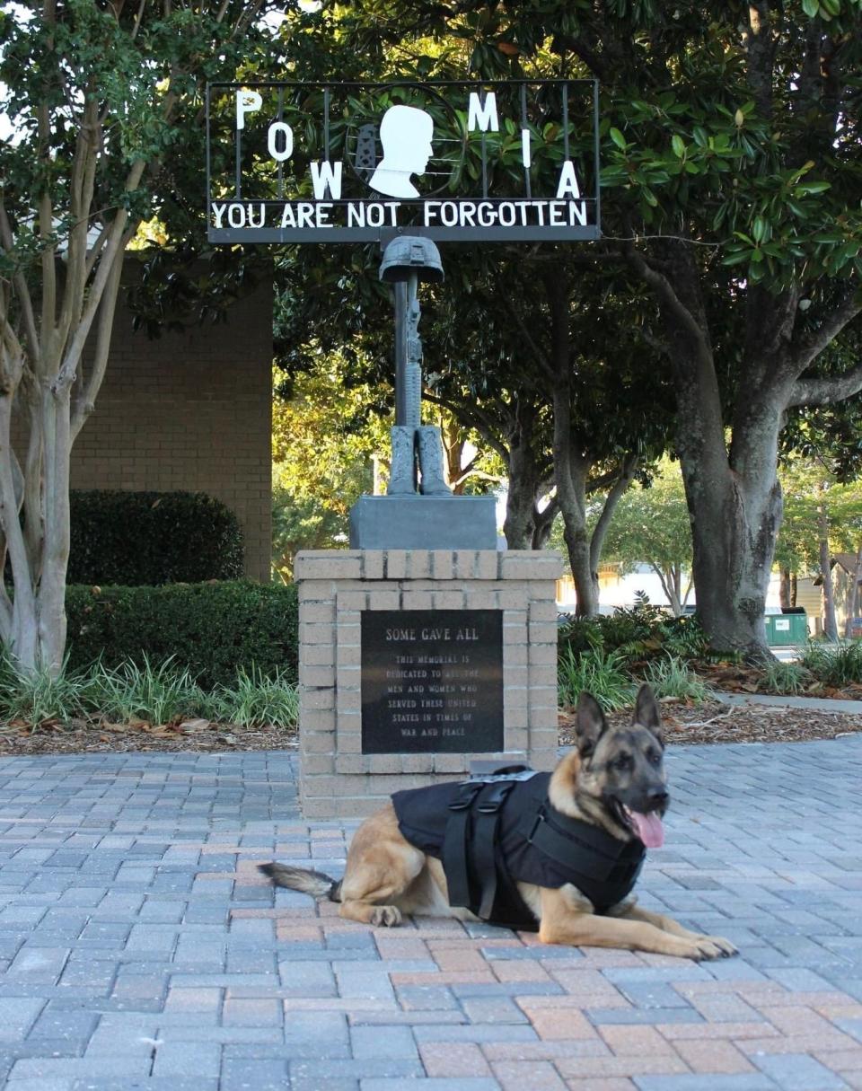 Niceville Police K-9 Blue was killed in a vehicle crash Sunday on State Road 85. His handler, Sgt. Phillip Ritcheson, was taken to HCA Fort Walton-Destin Hospital with serious but non-life threatening injuries.