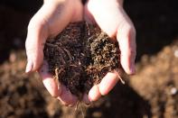 <p> Bags of compost can quickly add up in price, so if you&apos;re after free garden ideas, it&apos;s well worth knowing how to compost at home. You don&apos;t need to buy a fancy compost bin &#x2013; making your own with old pallets is a budget-friendly alternative. </p> <p> Position on an earth base in semi-shade, and fill with kitchen scraps such as veggies and fruit peelings (avoid meat), and garden waste (but not weeds). As the RHS says, aim for between 25 to 50 percent soft green materials such as grass clippings, vegetable kitchen waste, or manure. These will help to feed the micro-organisms that will break down the mixture into compost. The rest should be woody material, such as wood chippings, cardboard, dead leaves, or straw.&#xA0; </p> <p> It can take from six months to two years until the compost is ready. But, as it&apos;s a great way to use up kitchen scraps, encourage healthier plants, and save on money, it&apos;s worth the wait. </p>