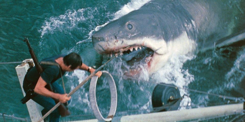 Jaws  Year : 1975 USA Director : Steven Spielberg Roy Scheider