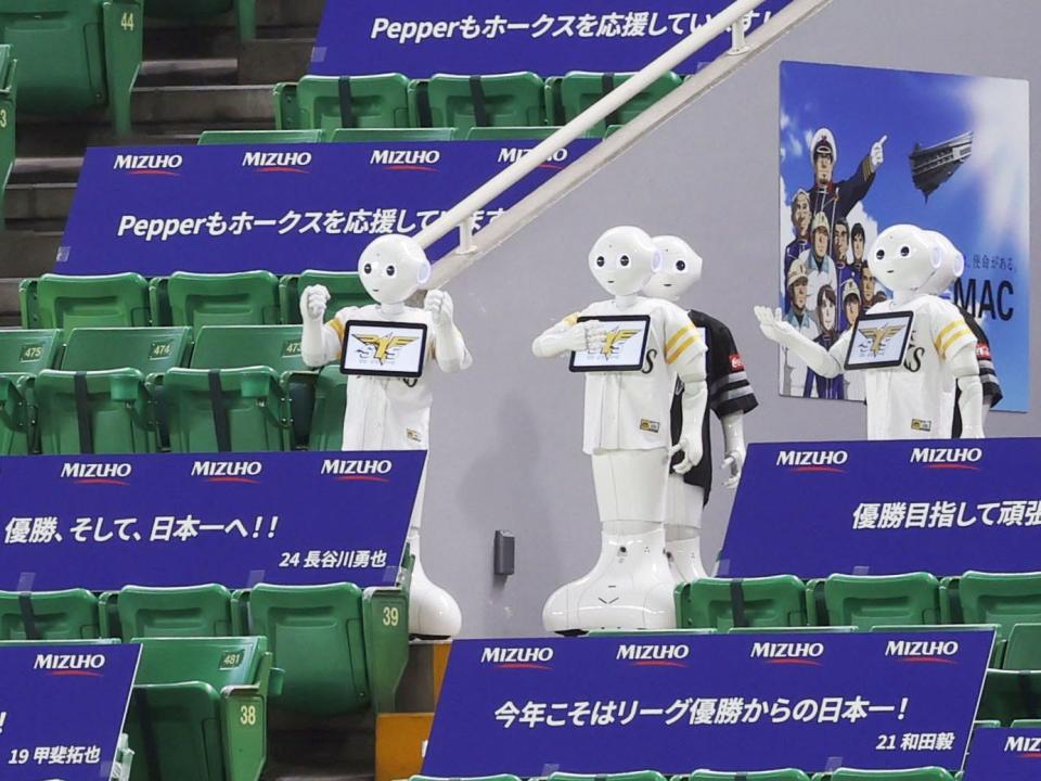 Pepper robot Japanese baseball