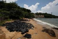 Volunteers collect crystallised palm oil on a beach at Lamma Island in Hong Kong, China August 9, 2017. REUTERS/Bobby Yip