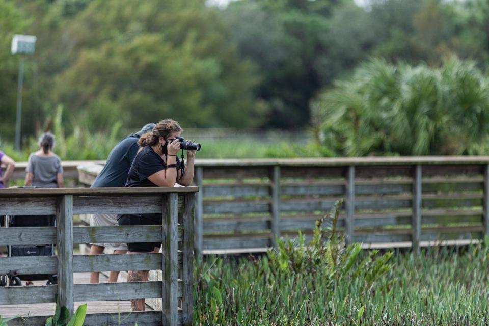 A woman stops to take a photograph along the 1-mile boardwalk loop at Green Cay Nature Center and Wetlands in Boynton Beach. Due to COVID-19 restrictions, everyone must wear a mask if they can’t social distance, and the boardwalk is one direction only.