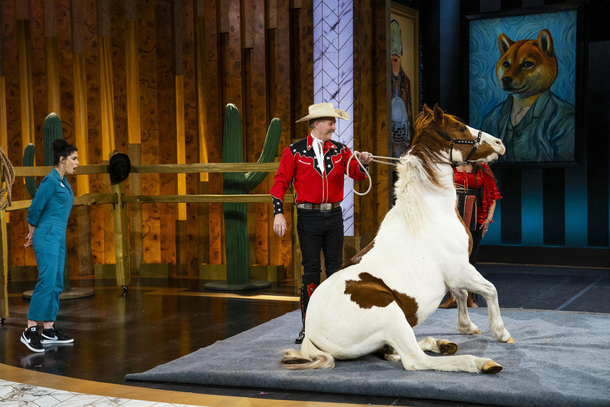 Sarah Silverman on Stupid Pet Tricks (Tyler Golden / TBS)