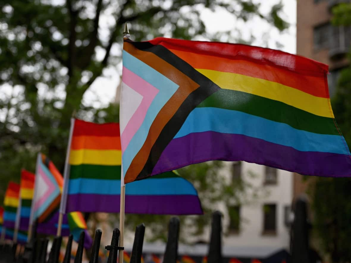 Rainbow flags, a symbol of lesbian, gay, bisexual, transgender and queer (LGBTQ) pride and social movements, are seen outside the Stonewall Monument in New York City. This year, pride flags have been ripped down or destroyed in several Canadian cities in what advocates fear is rising anti-LGBTQ sentiment. (Angela Weiss/AFP via Getty Images - image credit)