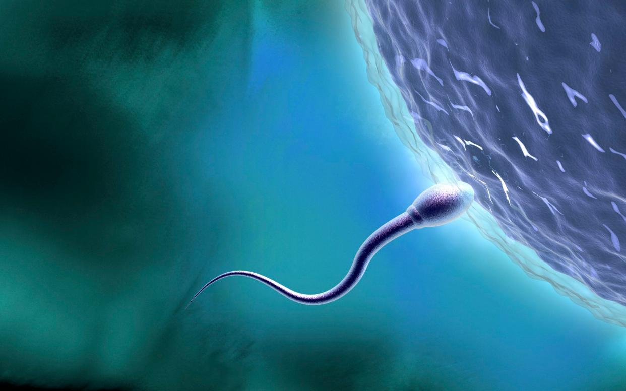 Sperm