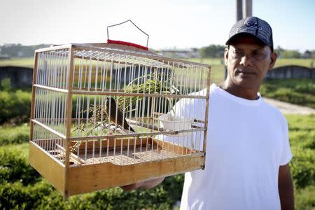 Eric Takchand, 54, holds a cage with his finch in Schoonord November 16, 2014. REUTERS/Girish Gupta