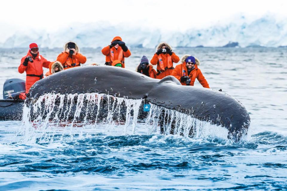 national geographic lindblad