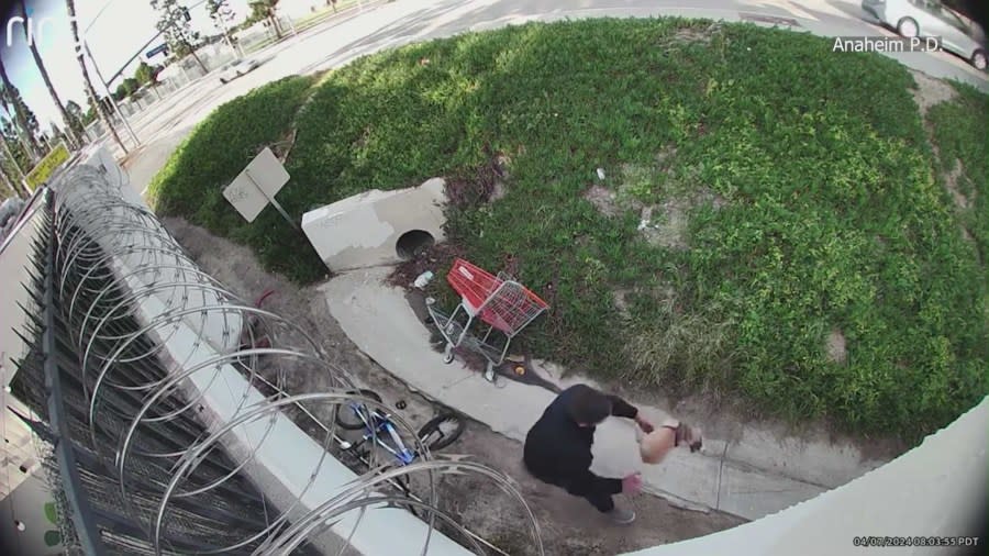 Video footage shows the man, identified as Joseph Michael Sanders, holding the puppy in his arms before tossing it in the air and kicking it. (Anaheim Police Dept.)