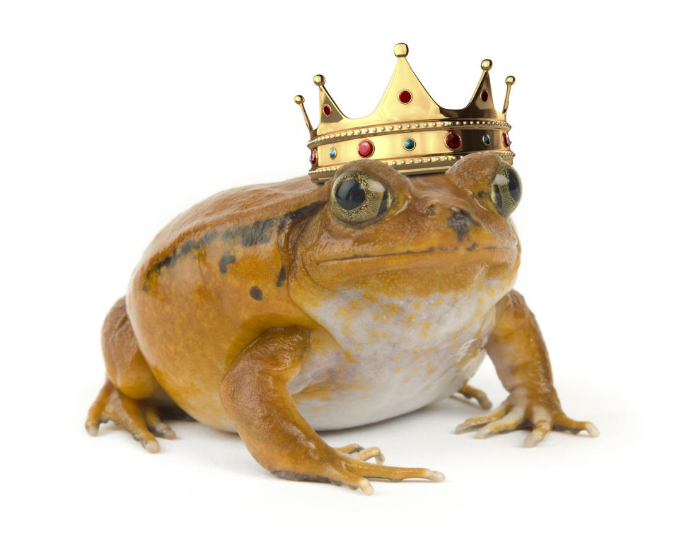 A frog wearing a crown