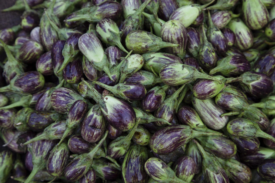 A large number of Thai purple eggplants are violet and streaked with white