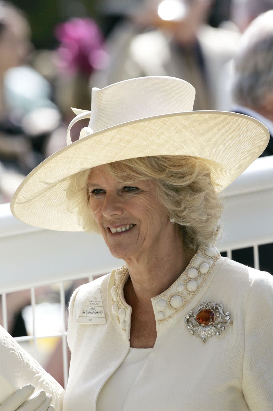 17 Photos of the Royals in Rubies, Beginning with the Imperial Crown