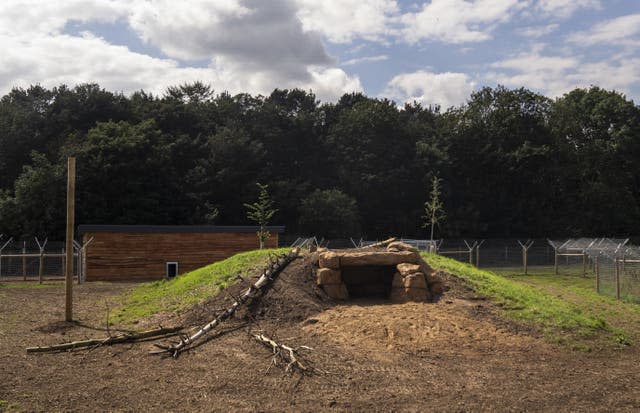 Cheetah Territory at Yorkshire Wildlife Park