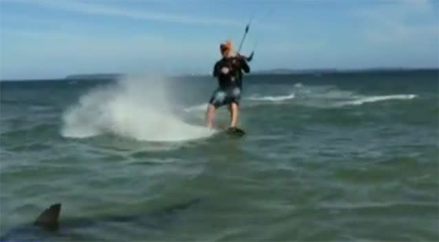 A kitesurfer came within centimetres of the shark. Source: Facebook