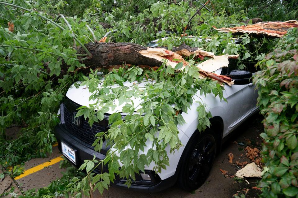 A car was hammered by a falling tree outside of the offices of Geoffrey Fieger in Southfield on Wednesday, July 26, 2023, after heavy storms sweep through the Metro Detroit area.