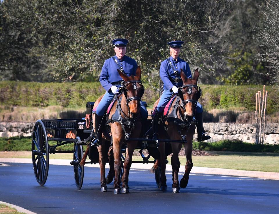 Tom and Denise Fitzgerald of Mims ride their mules while pulling a caisson during WWII Marine Corps veteran Frank Roth's funeral at Cape Canaveral National Cemetery.