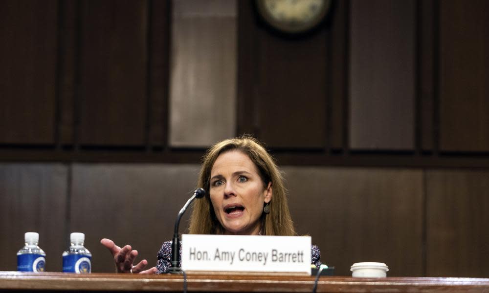 <span>Photograph: Demetrius Freeman/AP</span>