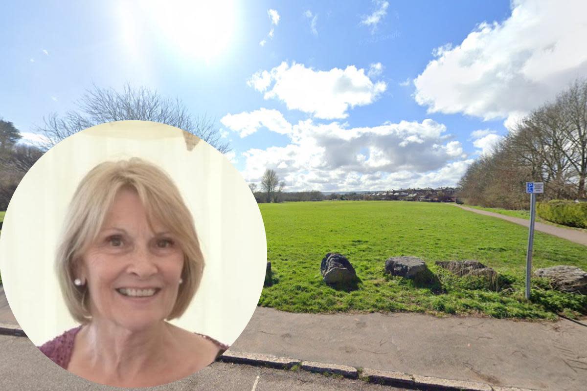 Lorna England was stabbed by Cameron Davis in Ludwell Valley Park. <i>(Image: Google Maps)</i>