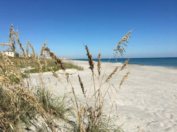 Karen Patrick captured this image in Cocoa Beach, Fla. The retired nurse last stayed in her condo a year and a half ago — having to rush back to Canada in March 2020 as the onset of the pandemic prompted sudden border closures and travel restrictions around the world. (Submitted by Karen Patrick - image credit)