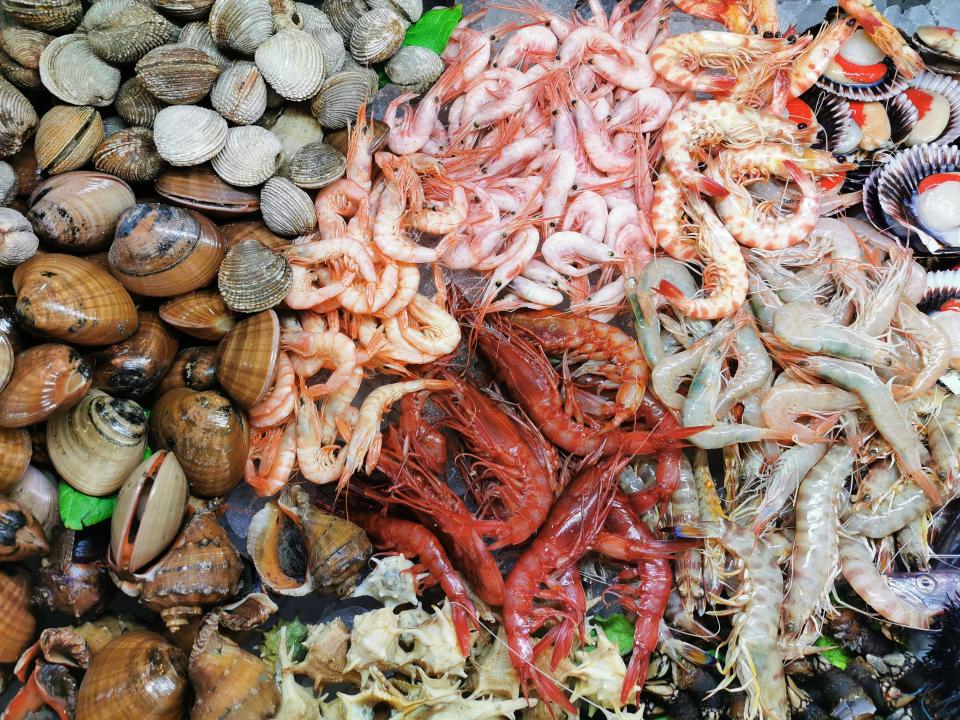 Full frame of different types of sea food