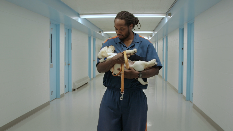 A scene from the documentary "Eli: A Dog in Prison."
