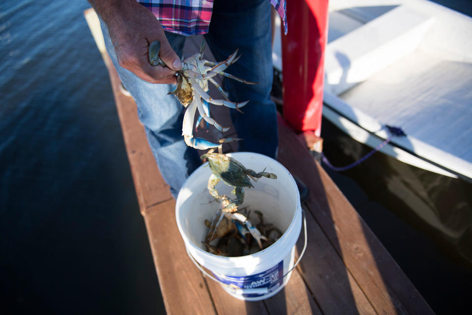 Off US coast, Tangier Island is disappearing under water