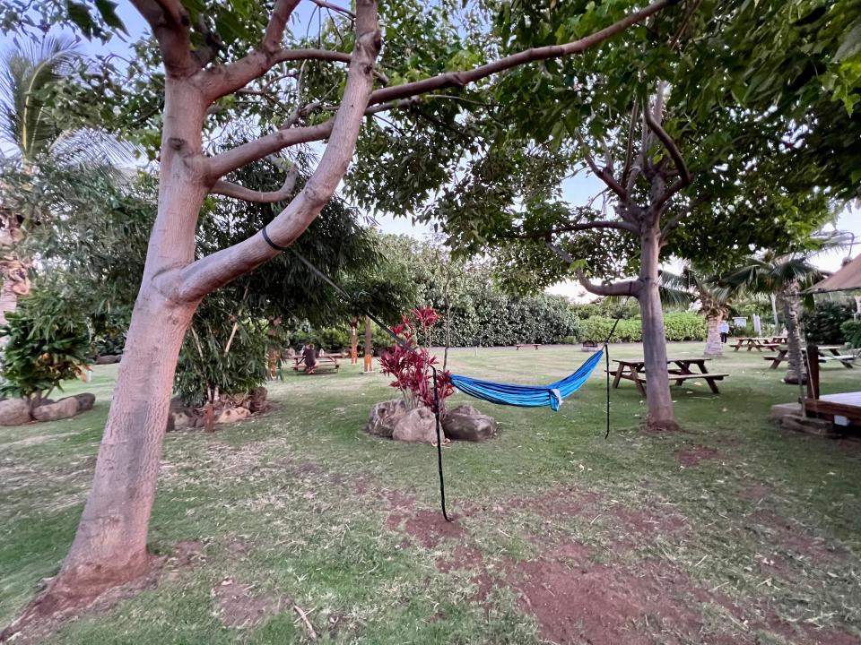 hammock hung between two trees