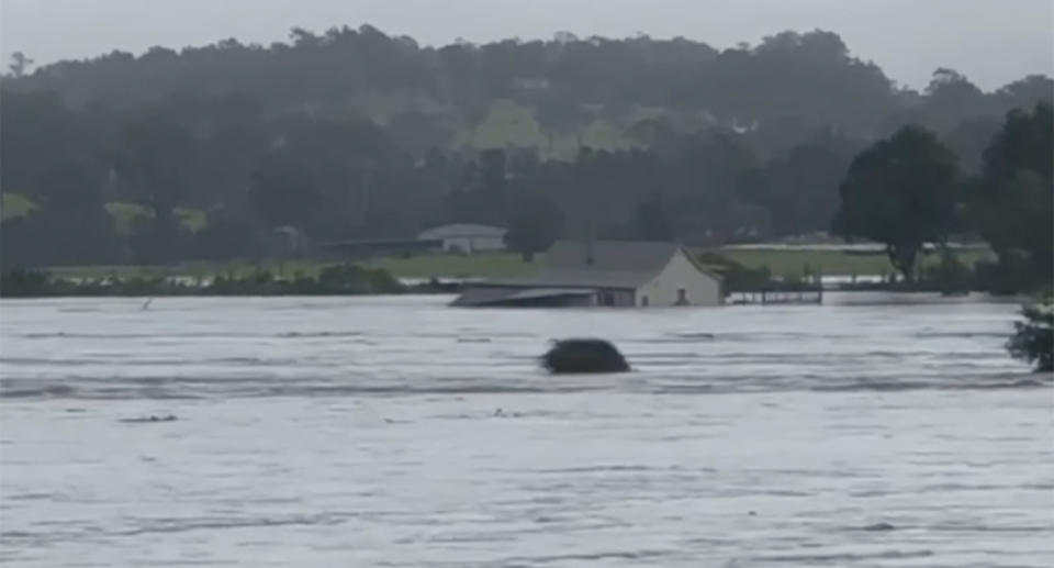 Pictured is a still from a video of a NSW Mid North Coast couple's home floating in floodwaters.