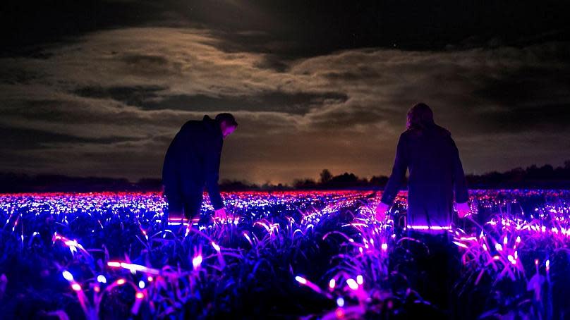 Daan Roosegaarde