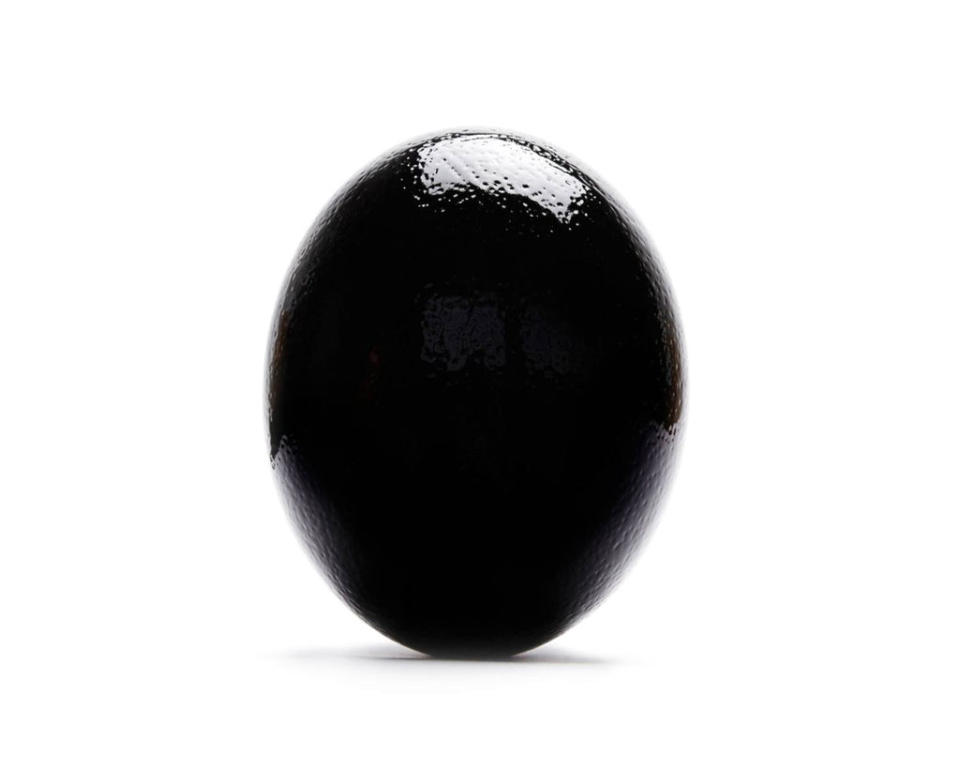 The Hollowed-Out, Lacquered-Up Ostrich Egg