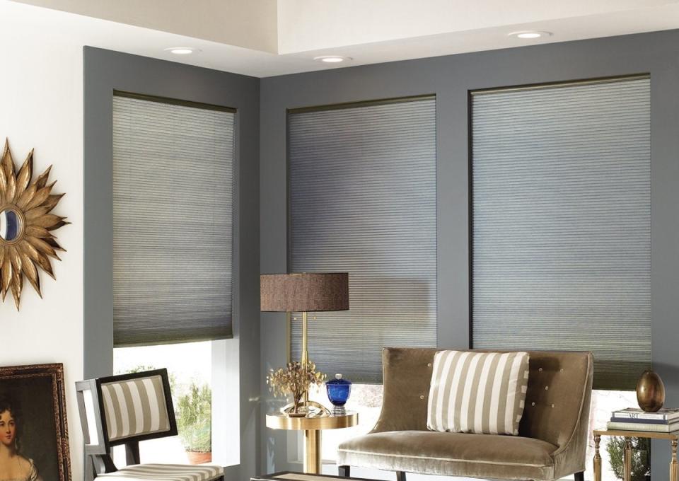 Contemporary living room with grey cellular window shades