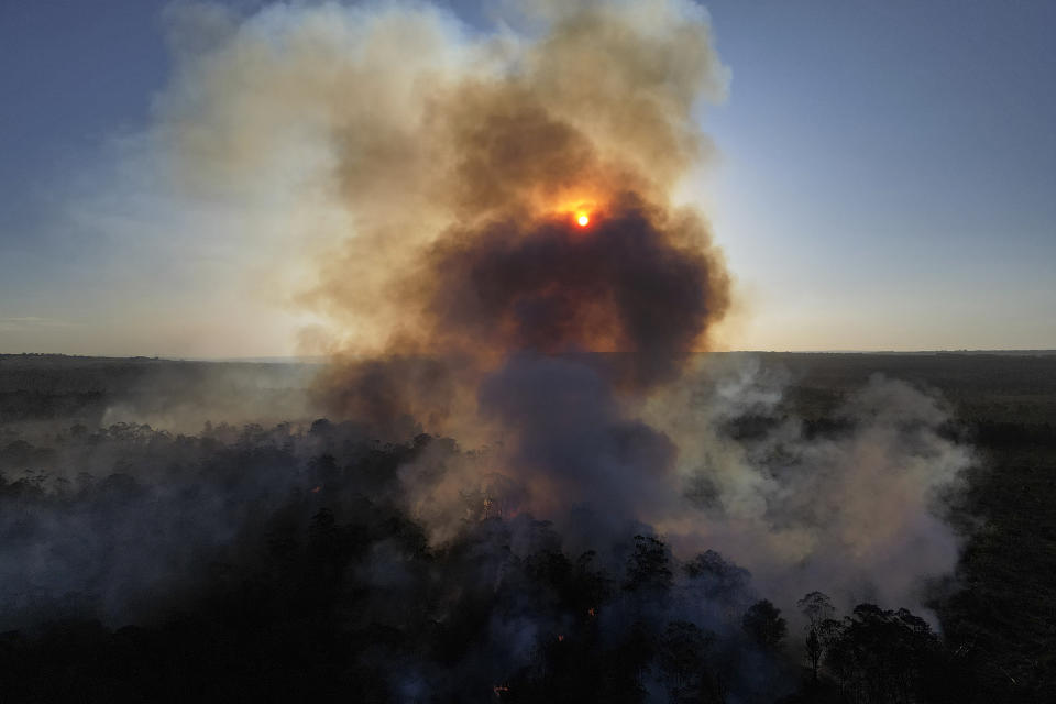 El humo se eleva de varios incendios en el Bosque Nacional de Brasilia, en plena temporada seca, el lunes 22 de julio de 2024. (AP Foto/Eraldo Peres)