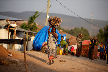 A woman carries wood within the walled city of Harar, Ethiopia, February 24, 2017. REUTERS/Tiksa Negeri